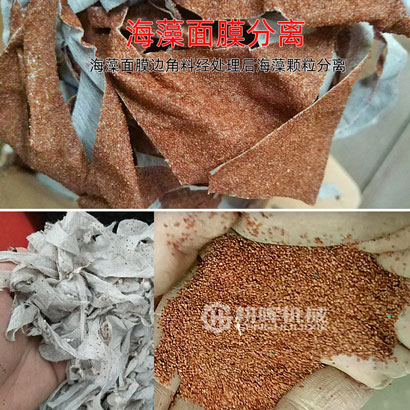 海藻面膜粉碎機(jī)海藻