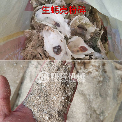 生蠔殼粉碎機(jī)牡蠣殼